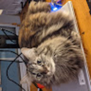 Meet your Posher, Arielle